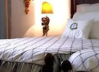 Casa Da Se Viseu